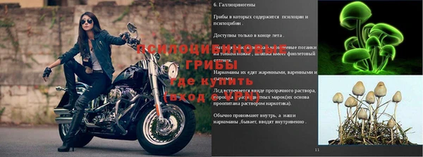 ALPHA-PVP Армянск