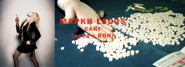 шишки Медногорск