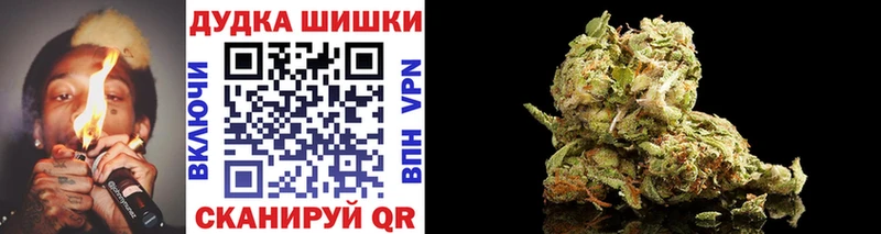 Бошки Шишки конопля  Южа 